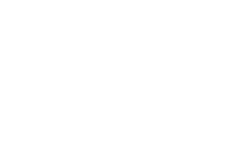 WK Baan Junioren Partner Libema White