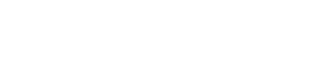 WK Baan Paracycling Partnerlogo Van Zeijl White