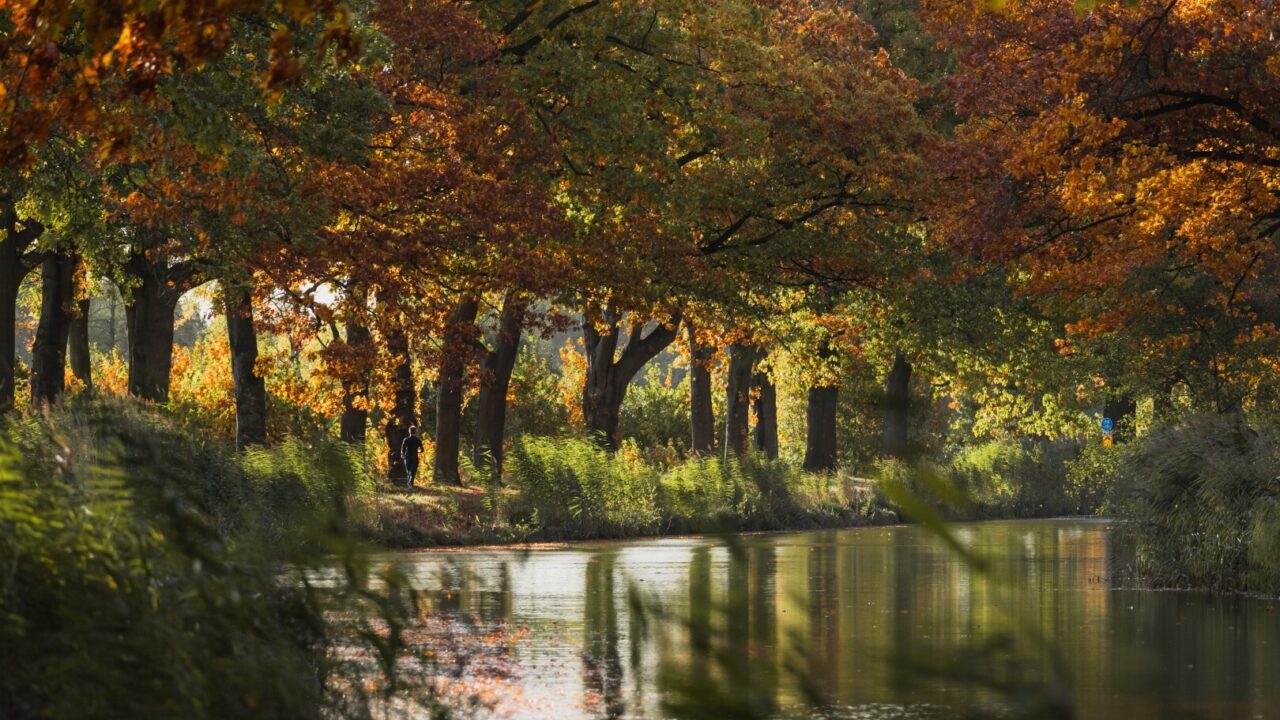 Natuur herfst Large
