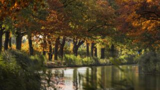 Natuur herfst Large